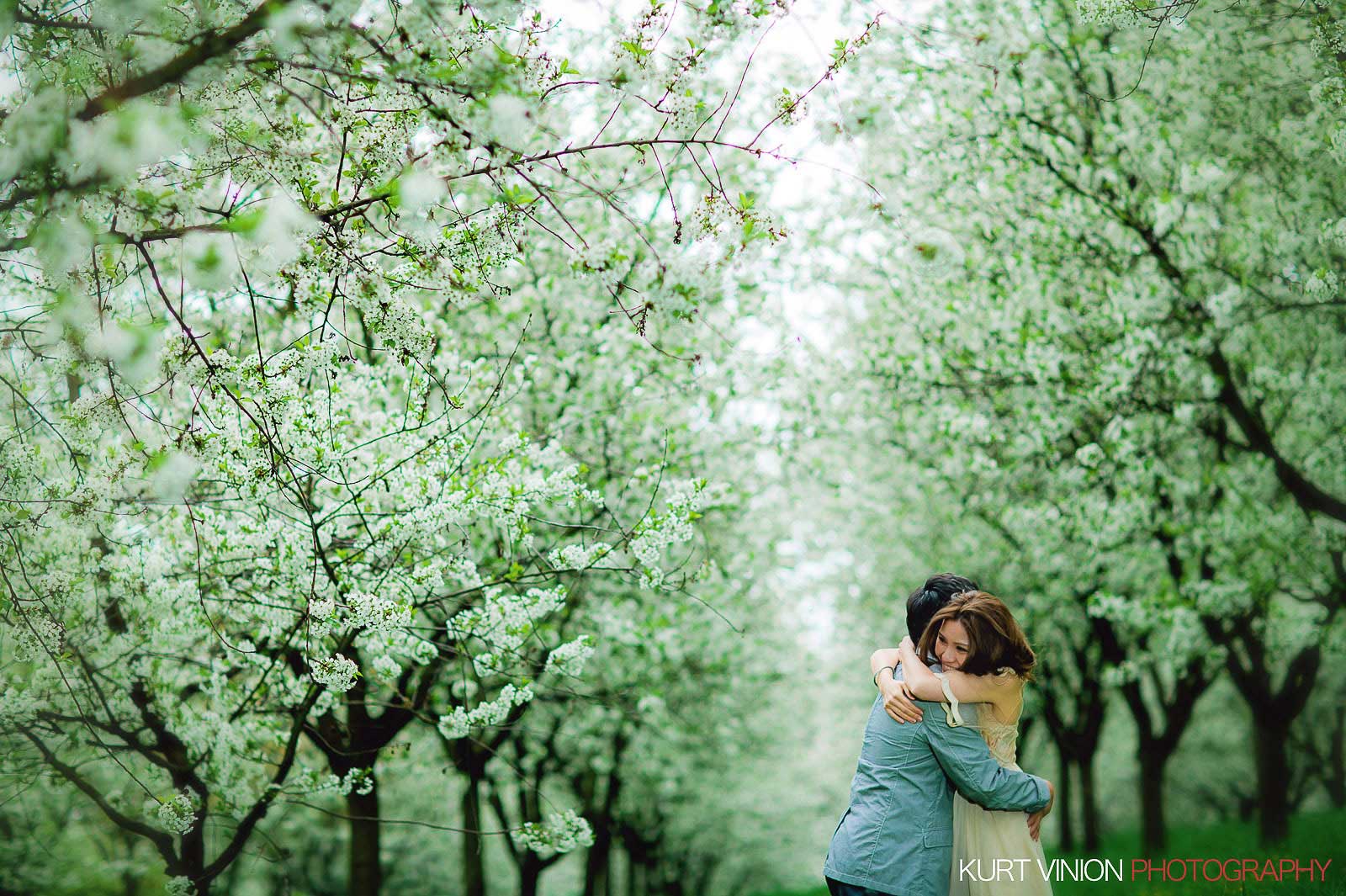 Prague pre wedding / Shirley & Green / photography under the cherry blossom trees at Petrin hill