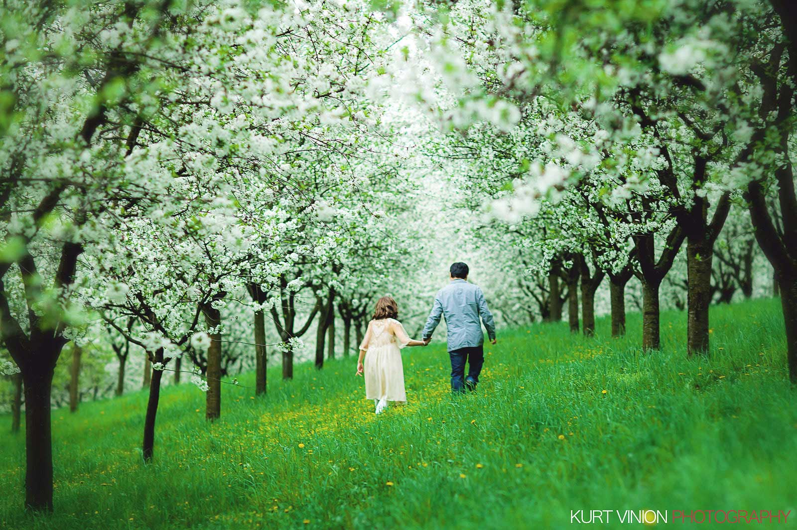 Prague pre wedding / Shirley & Green / photography under the cherry blossom trees at Petrin hill