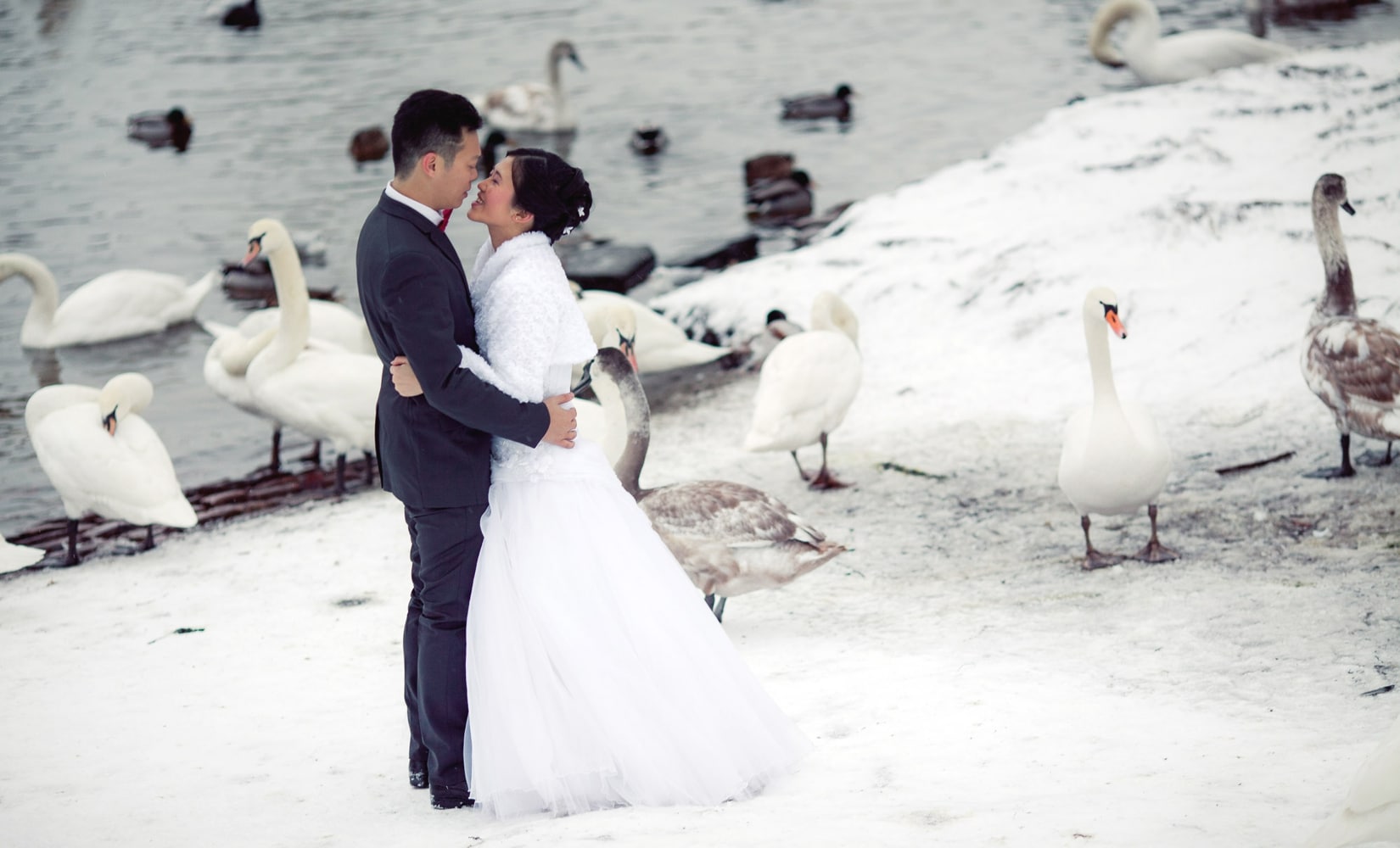 Pre weddings Prague / Y&K / Christmas portrait session