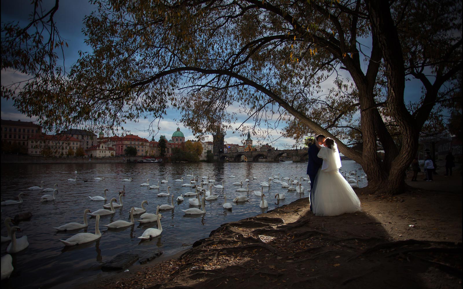 Castle Hluboka nad Vltavou weddings / O & A / wedding photography