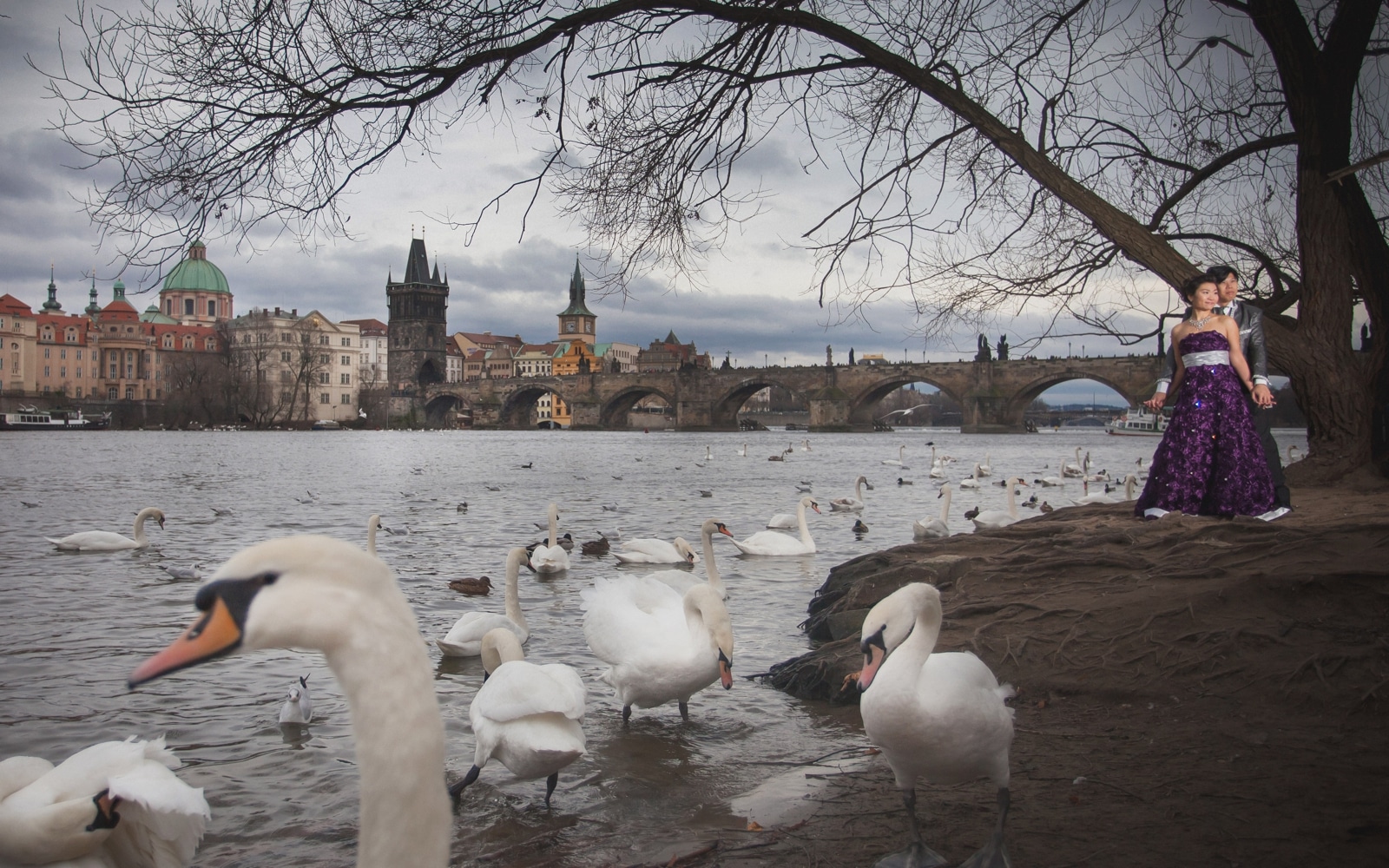 Prague pre weddings / Schee & Mr. Chan / portrait session in Prague